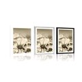 POSTER WITH MOUNT GARDEN FLOWERS IN SEPIA DESIGN - BLACK AND WHITE - POSTERS