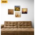 CANVAS PRINT SET MAGIC OF NATURE - SET OF PICTURES - PICTURES