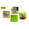 CANVAS PRINT SET PLEASANT HARMONY FENG SHUI - SET OF PICTURES - PICTURES