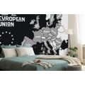 WALLPAPER BLACK AND WHITE MAP WITH THE NAMES OF EU COUNTRIES - WALLPAPERS MAPS - WALLPAPERS