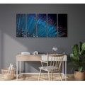 5-PIECE CANVAS PRINT FIBER OPTICS - STILL LIFE PICTURES{% if product.category.pathNames[0] != product.category.name %} - PICTURES{% endif %}