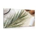 CANVAS PRINT SUMMER STILL LIFE - STILL LIFE PICTURES - PICTURES