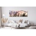 CANVAS PRINT SPIKES OF LONG GRASS - PICTURES OF NATURE AND LANDSCAPE - PICTURES