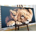 CANVAS PRINT OF A CUTE LION - PICTURES OF ANIMALS - PICTURES