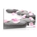 CANVAS PRINT PEBBLES ON WELLNESS STONES - PICTURES FENG SHUI - PICTURES