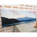 CANVAS PRINT VIEW OF MOUNT FUJI - PICTURES OF NATURE AND LANDSCAPE - PICTURES