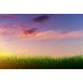 SELF ADHESIVE WALLPAPER SUNSET OVER THE MEADOW - SELF-ADHESIVE WALLPAPERS - WALLPAPERS