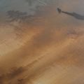 TABLEAU SUR TOILE – AUBE PAISIBLE DANS LA BRUME FORESTIÈRE - TABLEAUX DU LAC - TABLEAUX