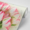 WALL MURAL SPRING TULIPS - WALLPAPERS FLOWERS - WALLPAPERS