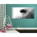 CANVAS PRINT INTERESTING FLOWER IN BLACK AND WHITE - BLACK AND WHITE PICTURES - PICTURES