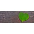 CANVAS PRINT HEART SHAPED LEAF ON A WOODEN BACKGROUND - STILL LIFE PICTURES - PICTURES