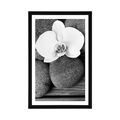 POSTER WITH MOUNT WELLNESS STONES AND AN ORCHID ON A WOODEN BACKGROUND IN BLACK AND WHITE - BLACK AND WHITE - POSTERS