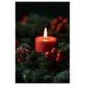CANVASTAVLA ADVENTSLJUS BLAND KOTTAR - JUL- OCH VINTERTAVLOR - TAVLOR