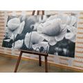 CANVAS PRINT BEAUTIFUL FIELD OF POPPIES IN BLACK AND WHITE - BLACK AND WHITE PICTURES - PICTURES