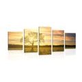 5-PIECE CANVAS PRINT LONELY TREE - PICTURES OF TREES AND LEAVES - PICTURES