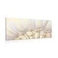 CANVAS PRINT DANDELION SEEDS - PICTURES FLOWERS - PICTURES