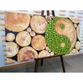 CANVAS PRINT YIN AND YANG IN ECO DESIGN - PICTURES FENG SHUI - PICTURES