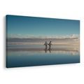 OBRAZ TUČŇÁCI NA KLIDNÉM POBŘEŽÍ - OBRAZY MOŘE A PLÁŽ - OBRAZY