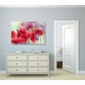 CANVAS PRINT BEAUTIFUL DRAWN POPPIES - PICTURES FLOWERS - PICTURES