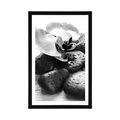 POSTER WITH MOUNT BEAUTIFUL INTERPLAY OF STONES AND ORCHIDS IN BLACK AND WHITE - BLACK AND WHITE - POSTERS