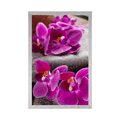 POSTER WUNDERSCHÖNE ORCHIDEE UND ZEN-STEINE - FENG SHUI - POSTER