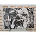 WANDBILD BULLDOGGE IN SCHWARZ-WEISS - SCHWARZ-WEISSE BILDER - BILDER