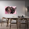 OBRAZ PSI ZVĚDAVOST V RŮŽOVÉ - OBRAZY PSI - OBRAZY