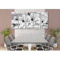 5-PIECE CANVAS PRINT LUXURIOUS MAGNOLIA WITH PEARLS IN BLACK AND WHITE - BLACK AND WHITE PICTURES - PICTURES