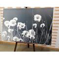 CANVAS PRINT COTTON GRASS IN BLACK AND WHITE - BLACK AND WHITE PICTURES - PICTURES