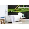 WALL MURAL STONES IN THE SHAPE OF YIN AND YANG - WALLPAPERS FENG SHUI - WALLPAPERS