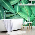 SELF ADHESIVE WALL MURAL EUCALYPTUS LEAVES - SELF-ADHESIVE WALLPAPERS - WALLPAPERS