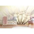 WALL MURAL BLOOMING DANDELION - WALLPAPERS - 🔥 TOTAL SALE 🔥