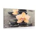 WANDBILD GELBE ORCHIDEE UND ZEN-STEINE - BILDER MIT FENG SHUI-MOTIVEN - BILDER