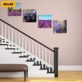 CANVAS PRINT SET ROMANTIC LAVENDER - SET OF PICTURES - PICTURES