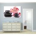 CANVAS PRINT SPA STONES AND AN ORCHID - PICTURES FENG SHUI{% if product.category.pathNames[0] != product.category.name %} - PICTURES{% endif %}