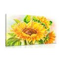 CANVAS PRINT BEAUTIFUL SUNFLOWER - PICTURES FLOWERS - PICTURES