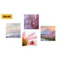 CANVAS PRINT SET CHARMING GENTLE NATURE - SET OF PICTURES - PICTURES