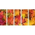 5-TEILIGES WANDBILD HERBSTBLÄTTER - STILLLEBEN-BILDER - BILDER