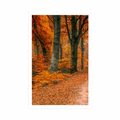 POSTER WALD IN DER HERBSTZEIT - NATUR - POSTER