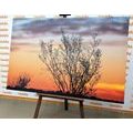 CANVAS PRINT TREE BRANCHES IN THE SUNSET - PICTURES OF NATURE AND LANDSCAPE - PICTURES