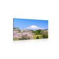 CANVAS PRINT FUJI VOLCANO - PICTURES OF NATURE AND LANDSCAPE - PICTURES