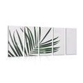 5-PIECE CANVAS PRINT BEAUTIFUL PALM LEAF - STILL LIFE PICTURES{% if product.category.pathNames[0] != product.category.name %} - PICTURES{% endif %}