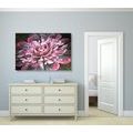 WANDBILD MAGISCHE ROSA BLUME - ABSTRAKTE BILDER - BILDER