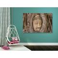 CANVAS PRINT BUDDHA'S SACRED FIG TREE - PICTURES FENG SHUI - PICTURES