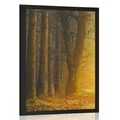 POSTER WEG IM WALD - NATUR - POSTER