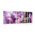 5-PIECE CANVAS PRINT PEACEFUL BUDDHA - PICTURES FENG SHUI - PICTURES