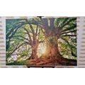 TABLEAU SUR TOILE – ARBRES MAJESTUEUX - TABLEAUX DE LA NATURE ET DES PAYSAGES - TABLEAUX