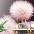 WALL MURAL DANDELION ON A DARK BACKGROUND - WALLPAPERS FLOWERS - WALLPAPERS