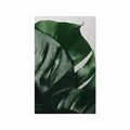 POSTER MONSTERA LEAVES - FLOWERS - POSTERS