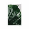 POSTER – FOGLIE DI MONSTERA - FIORI - POSTER